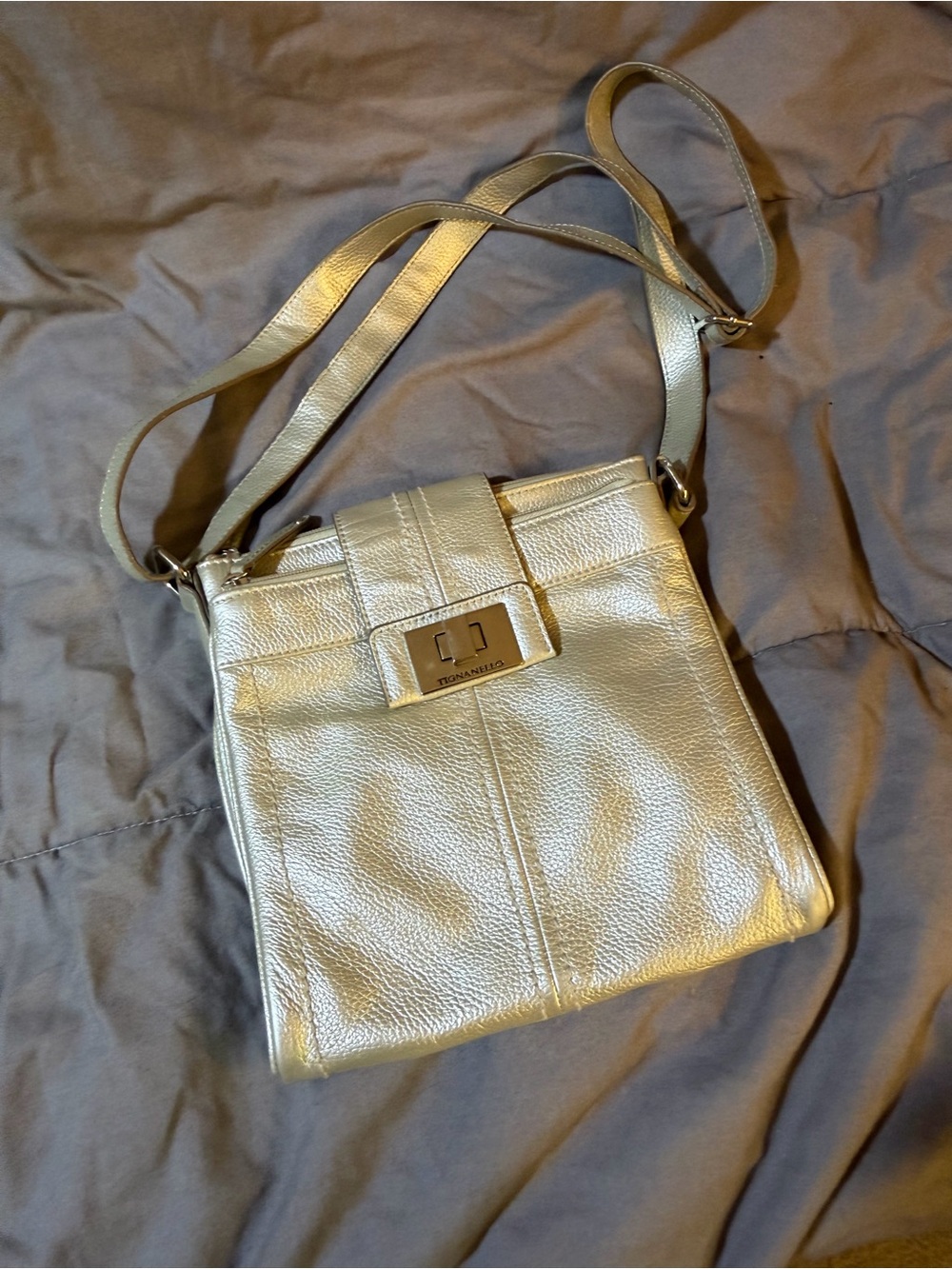 Tiganelli Silver Crossbody Bag - Sleek Metallic Shoulder Purse